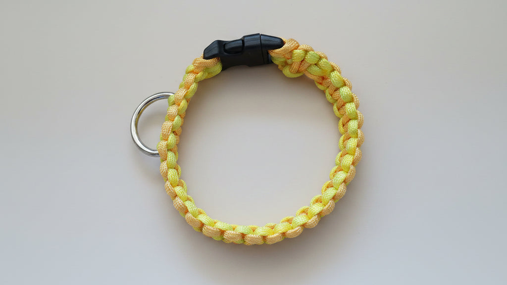 Yellow braided dog collar 