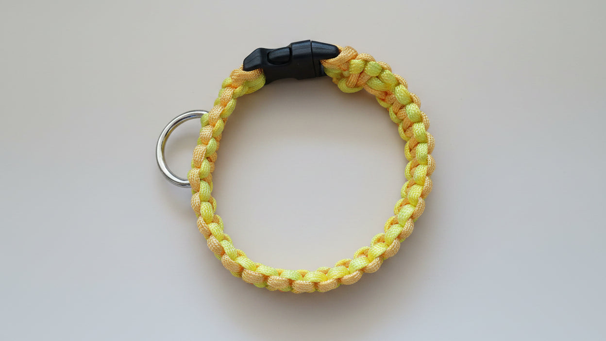 Yellow braided dog collar 