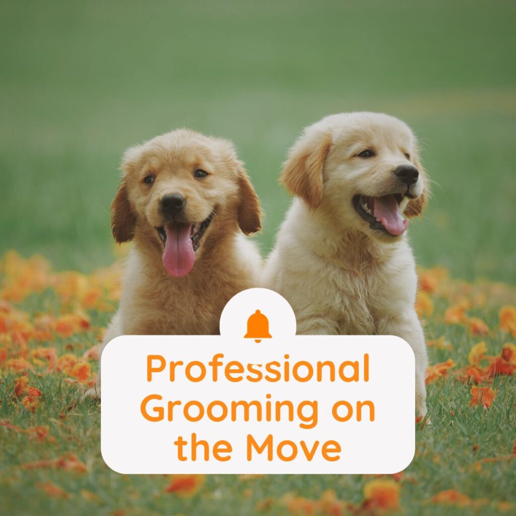 Professional Grooming on the Move: Unleash the Beauty of Your Pet with Our Van Services