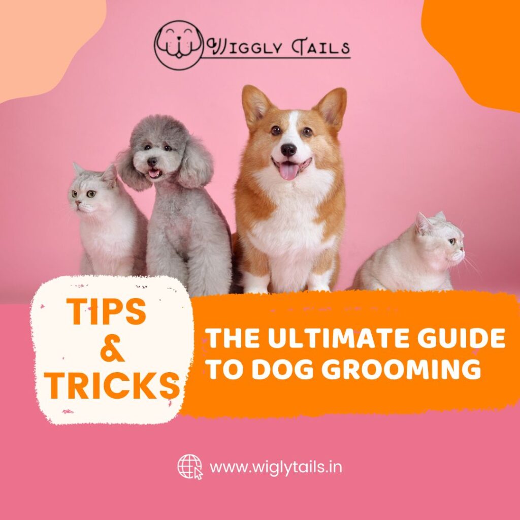 The Ultimate Guide To Dog Grooming: Tips & Tricks